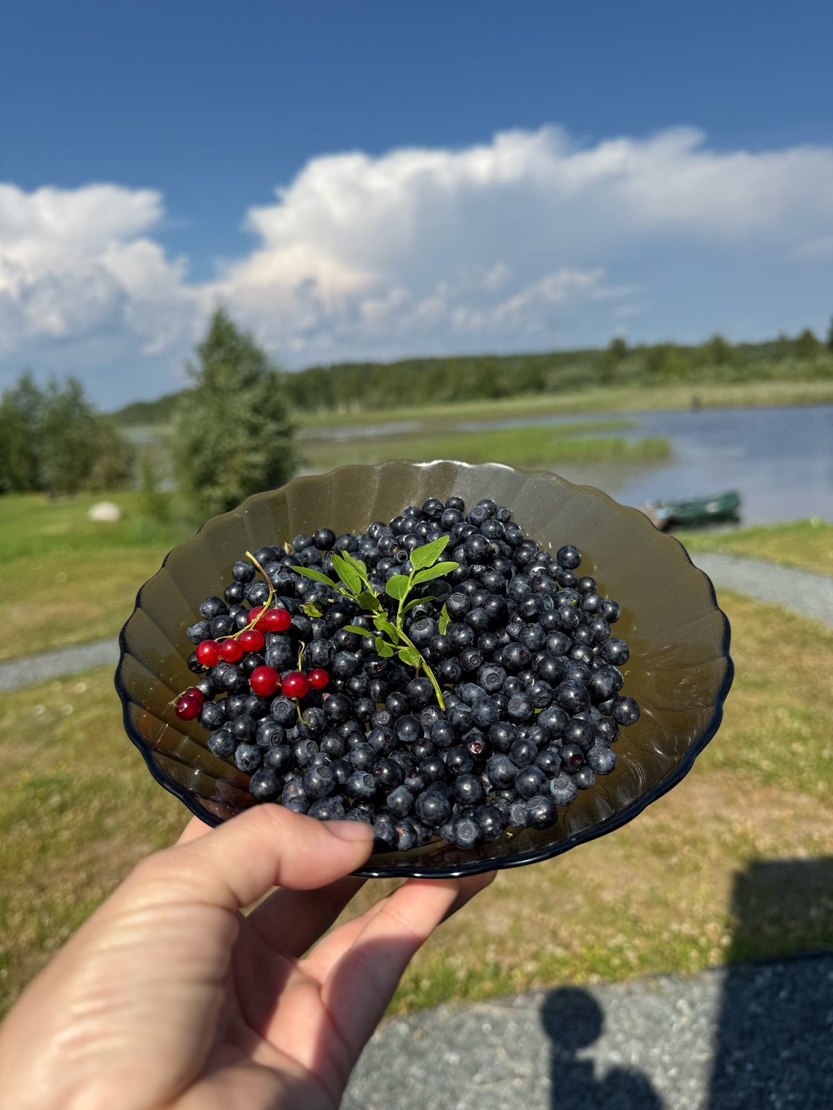 Ягоды у озера